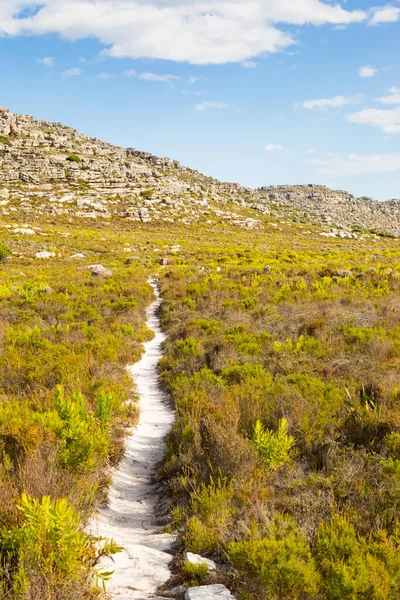 Dirt Track Turistické Stezky Vrcholu Hory Pobřeží Kapského Města — Stock fotografie