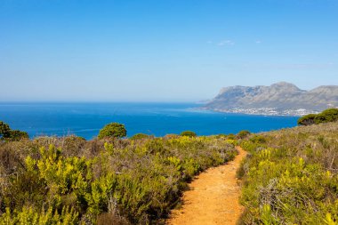Cape Town kıyısındaki bir dağın tepesindeki toprak patika yürüyüş yolları.
