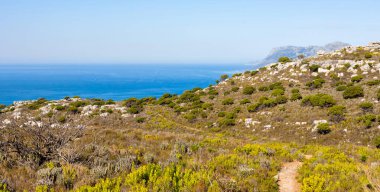 Cape Town kıyısındaki bir dağın tepesindeki toprak patika yürüyüş yolları.