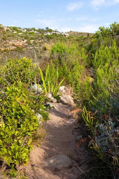 Chemin Terre Sentiers Randonnée Sommet Une Montagne Près Côte Cap — Photo