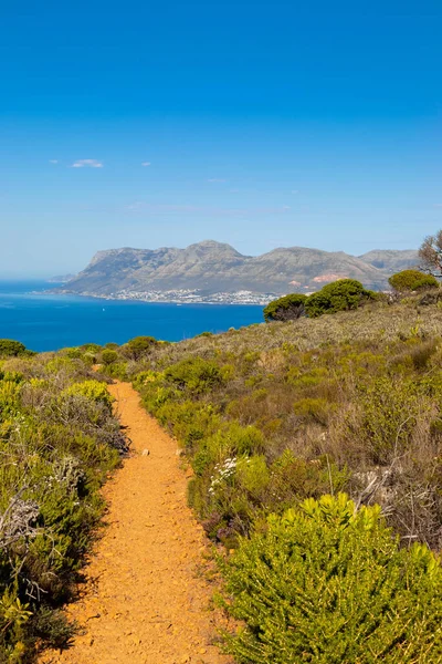 Cape Town kıyısındaki bir dağın tepesindeki toprak patika yürüyüş yolları.