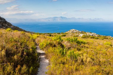 Cape Town kıyısındaki bir dağın tepesindeki toprak patika yürüyüş yolları.