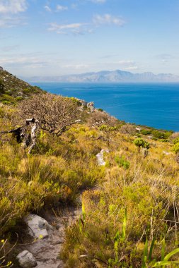 Cape Town kıyısındaki bir dağın tepesindeki toprak patika yürüyüş yolları.