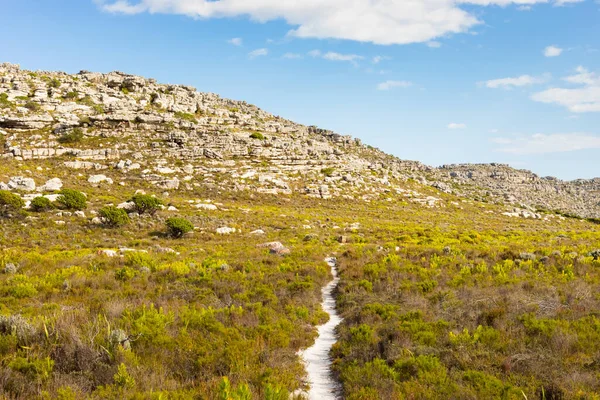 Dirt Track Turistické Stezky Vrcholu Hory Pobřeží Kapského Města — Stock fotografie