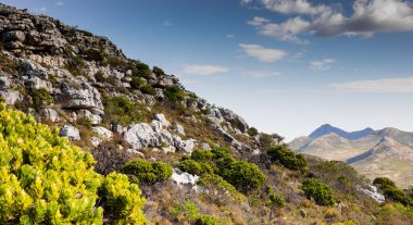 Cape Town Güney Afrika 'daki fynbos çalıları ovalarken engebeli dağ manzarası