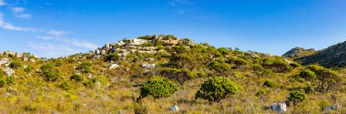 Cape Town Güney Afrika 'daki fynbos çalıları ovalarken engebeli dağ manzarası
