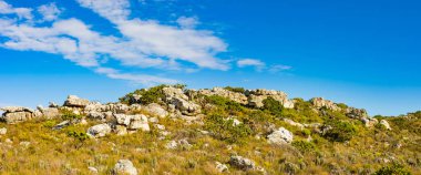 Cape Town Güney Afrika 'daki fynbos çalıları ovalarken engebeli dağ manzarası