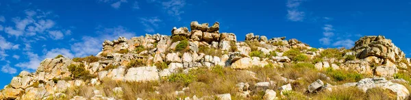 Rugged Paisaje Montaña Con Fynbos Matorral Flora Ciudad Del Cabo —  Fotos de Stock