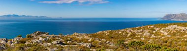 Cape Town Güney Afrika 'daki Fynbos Flora ile sahil dağ manzarası