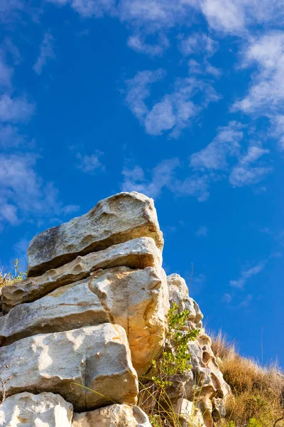 Rugged Krajobraz Górski Fynbos Zarośla Flory Krzewu Cape Town Rpa — Zdjęcie stockowe