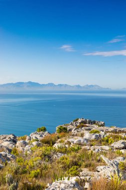 Cape Town Güney Afrika 'daki Fynbos Flora ile sahil dağ manzarası