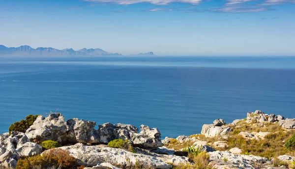 Cape Town Güney Afrika Daki Fynbos Flora Ile Sahil Dağ — Stok fotoğraf