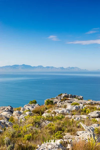 Παράκτια Ορεινό Τοπίο Χλωρίδα Fynbos Στο Κέιπ Τάουν Της Νότιας — Φωτογραφία Αρχείου