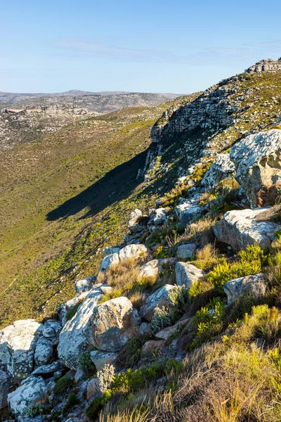 Drsné Horské Krajiny Fynbos Křoviny Keře Flóra Kapském Městě Jižní — Stock fotografie