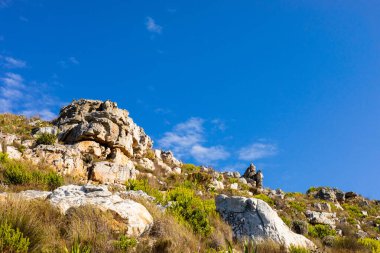 Cape Town Güney Afrika 'daki fynbos çalıları ovalarken engebeli dağ manzarası