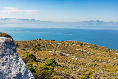 Cape Town Güney Afrika 'daki Fynbos Flora ile sahil dağ manzarası