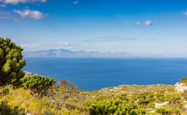 Cape Town Güney Afrika 'daki Fynbos Flora ile sahil dağ manzarası