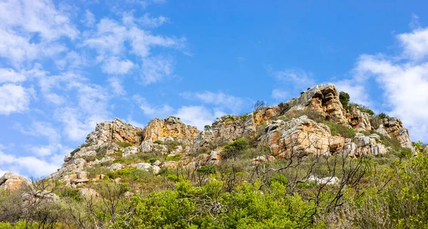 Drsné Horské Krajiny Fynbos Křoviny Keře Flóra Kapském Městě Jižní — Stock fotografie