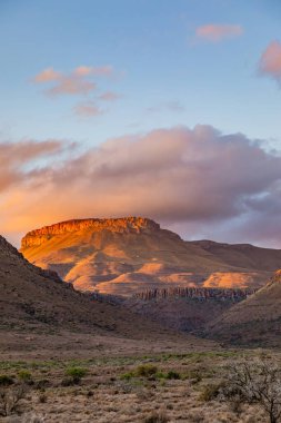 Güney Afrika, Karoo 'daki Arid çöl manzarası