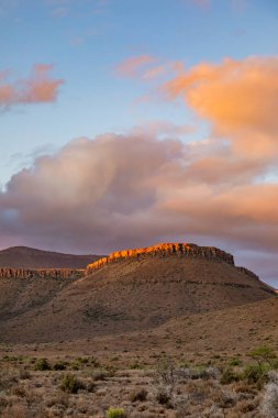 Güney Afrika, Karoo 'daki Arid çöl manzarası