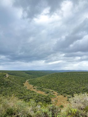 Addo Fil Safari Parkı, Güney Afrika