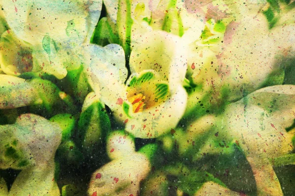 Květy sněženek a akvarel drmolit — Stock fotografie