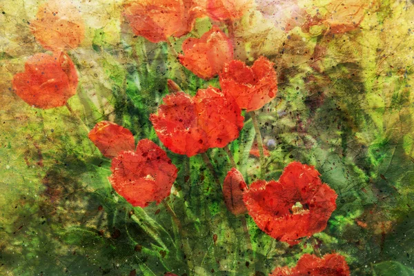 Opera d'arte con tulipano rosso — Foto Stock