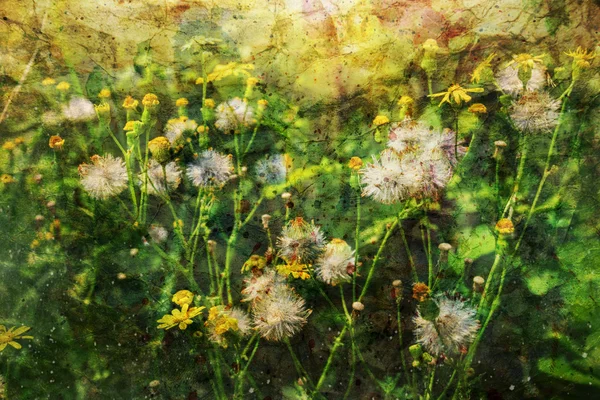 Artwork with summer flowers and watercolor spatter — Stock Photo, Image