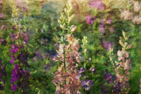 Pink and purple delphinium flowers and watercolor splashes — Stock Photo, Image