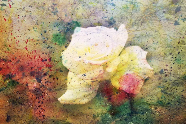 Artwork with white rose and watercolor splatter — Stock Photo, Image