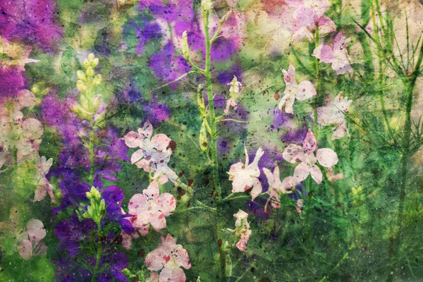 Illustration avec des fleurs delphinium violet et rose — Photo