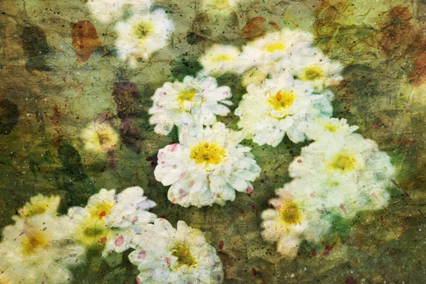 Sevimli küçük chamomiles resimle — Stok fotoğraf