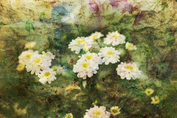 Obras de arte com flores de camomila — Fotografia de Stock
