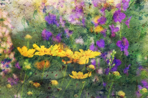 Aquarell-Kunstwerk mit Sommerblumen — Stockfoto