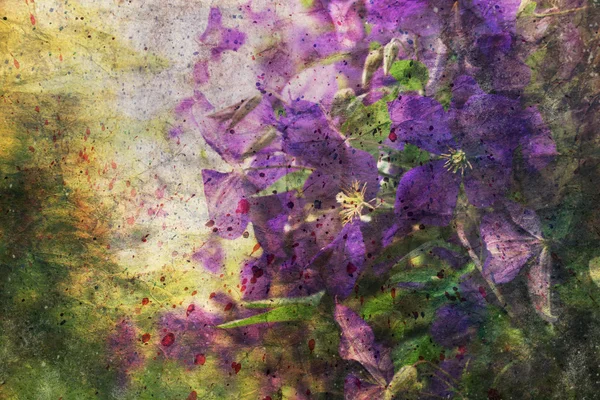 Έργα τέχνης με όμορφη κληματιτής λουλούδια — Φωτογραφία Αρχείου