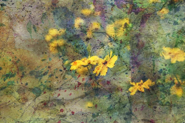 Yellow coreopsis flowers and watercolor spatter — Stock Photo, Image