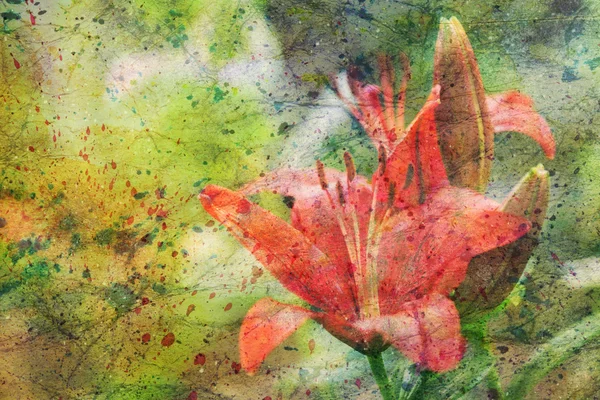 Произведения искусства с красными цветами лилии — стоковое фото