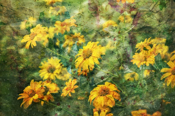 Oeuvre d'art avec fleurs jaunes coreopsis — Photo