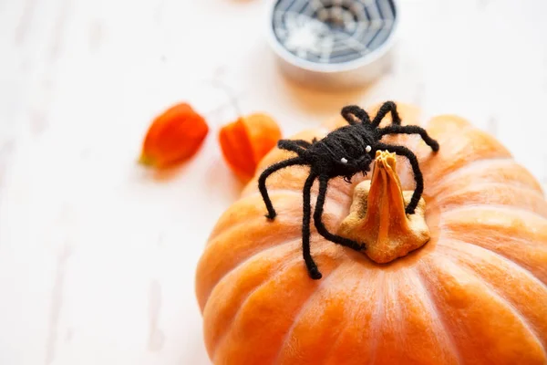 Dekorationen Für Halloween Party Kürbis Und Selbstgebastelte Spinnen Nahaufnahme — Stockfoto