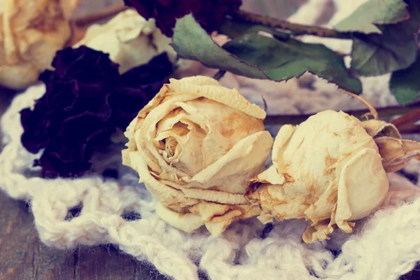 Dried roses close up — Stock Photo, Image