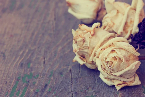 Ξηρά λευκά τριαντάφυλλα σε ξύλινα φόντο — Φωτογραφία Αρχείου
