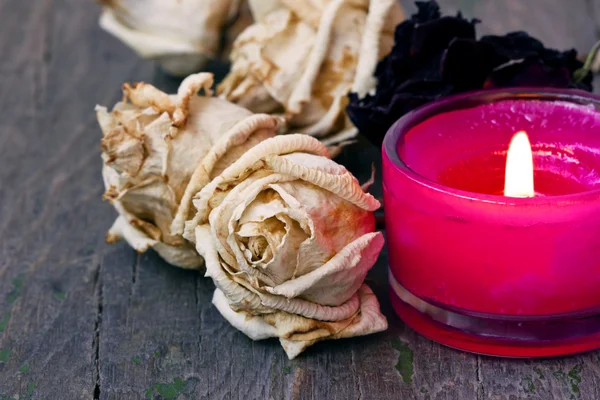Vela de aroma y rosas blancas secas — Foto de Stock