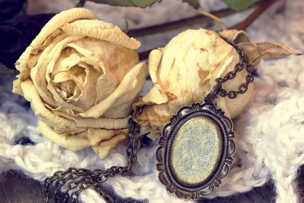 Beautiful old vintage locket and roses — Stock Photo, Image