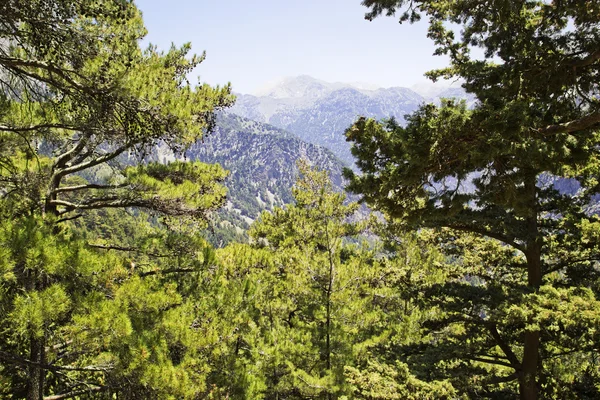 Samaria Gorge, Crete, Greece — Stock Photo, Image