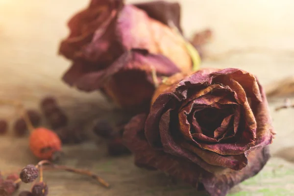 Beautiful dried red roses on a wooden background — Stock Photo, Image