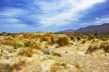 Issız tepelik beach, Crete, Yunanistan