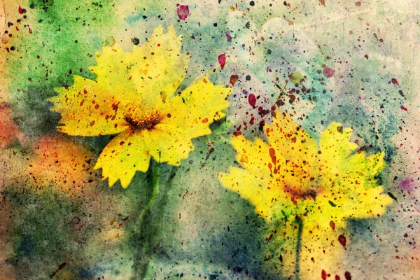Dvě krásné žluté květy a akvarel šplouchá — Stock fotografie