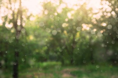 bulanık manzara, Doğa arka plan