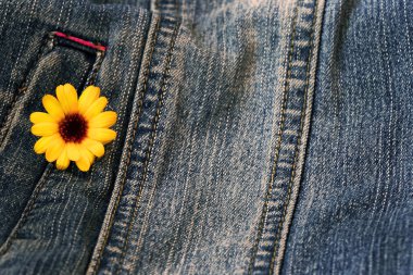 eski püskü denim doku çiçek