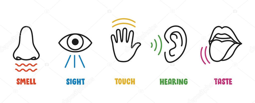 Five Senses Concept With Human Organs